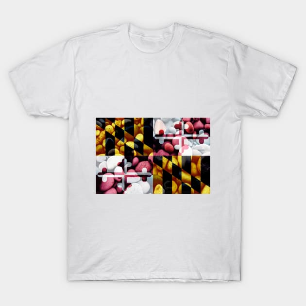 Flag of Maryland – Bed of Rocks T-Shirt by DrPen